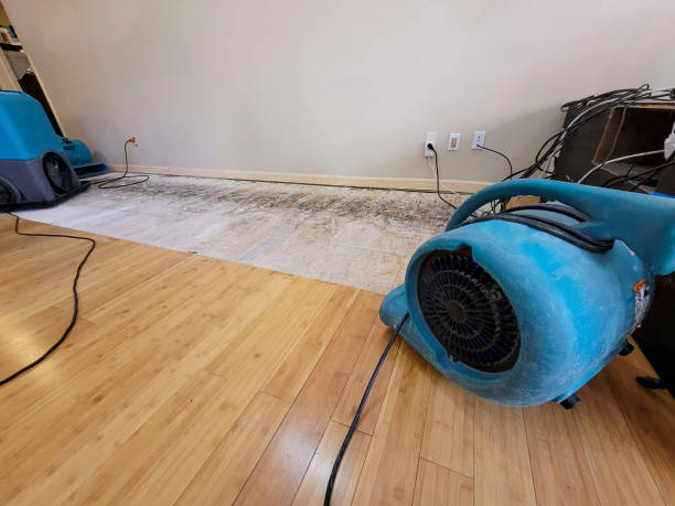 Reliable Storm Water Damage Restoration contractor in Roseville, OH by Hirex Water Damage