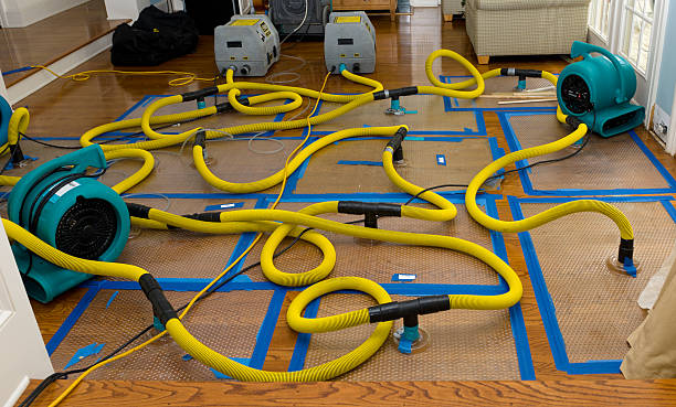 Professional Storm Water Damage Restoration technician working in Roseville, OH